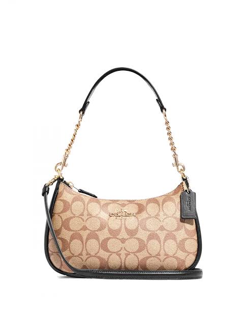 Coach teri bag