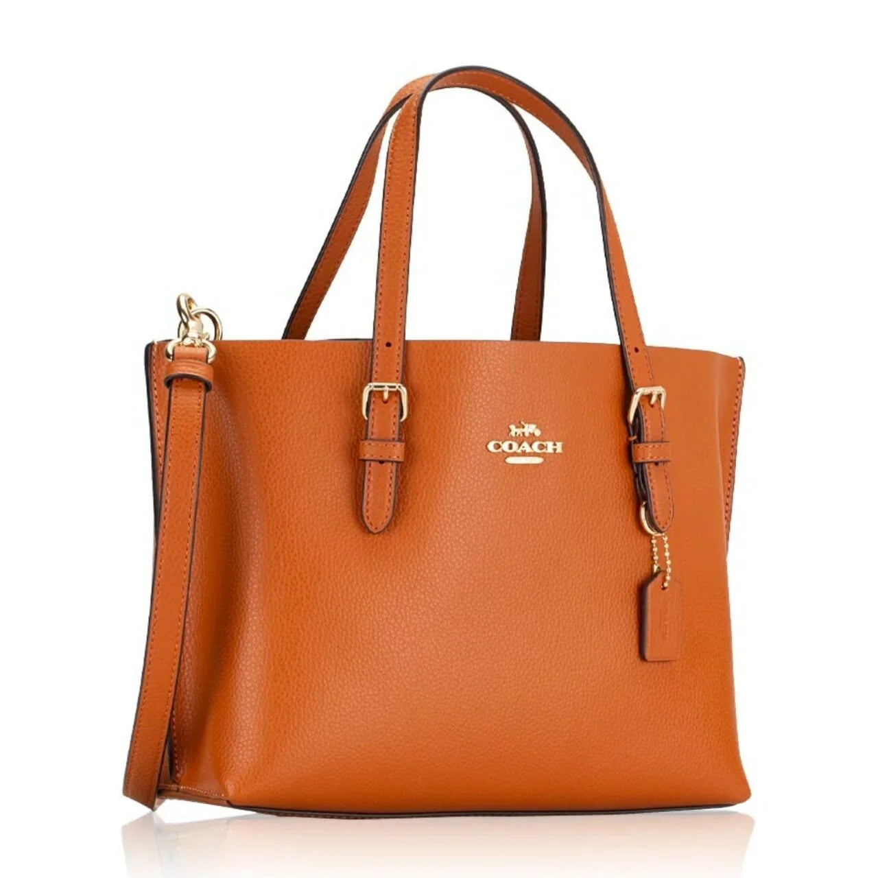 Coach Mollie Tote