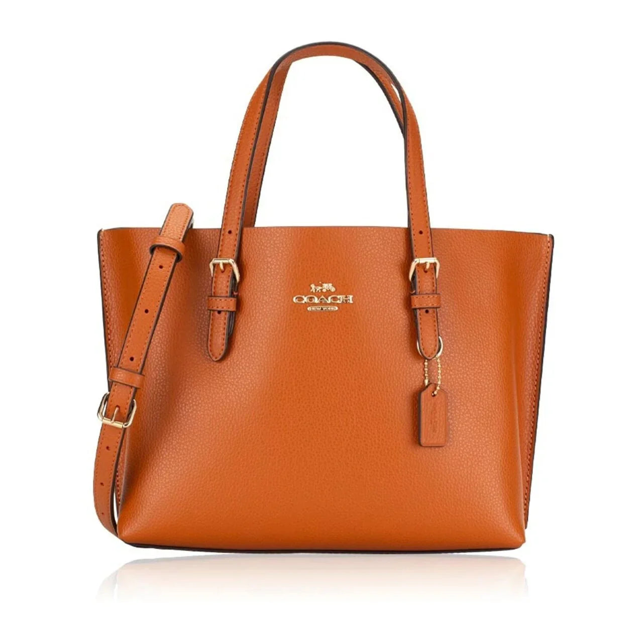 Coach Mollie Tote