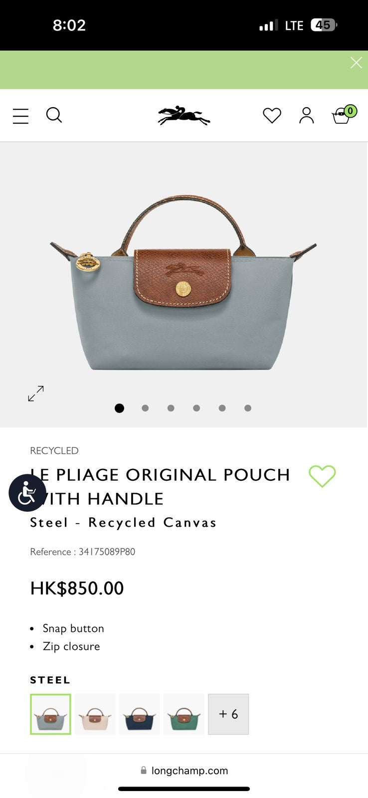 Long Champ Mini Pouch with Strap