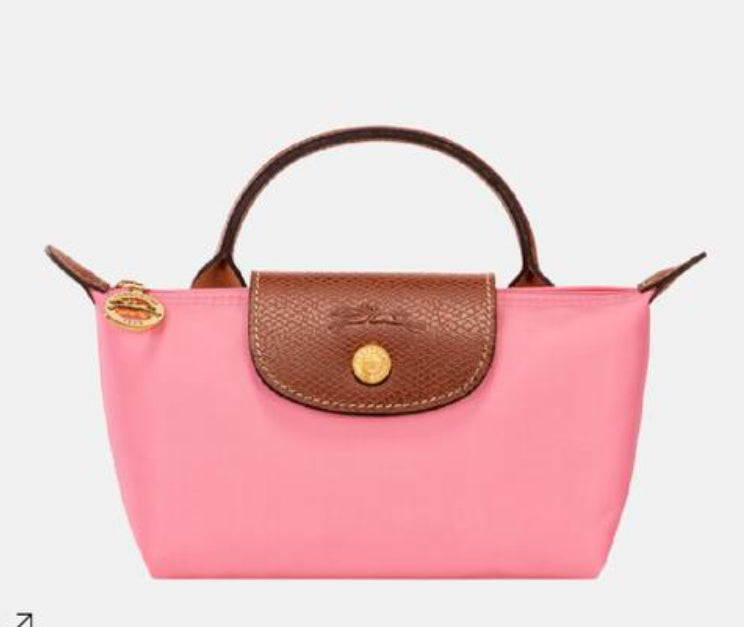 Long Champ Mini Pouch with Strap