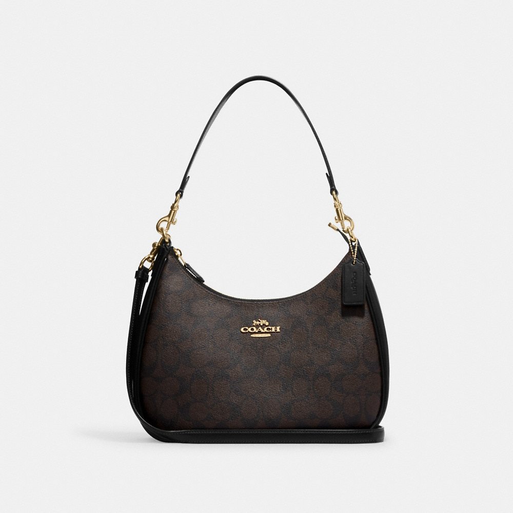 Coach Signature Teri Hobo Bag